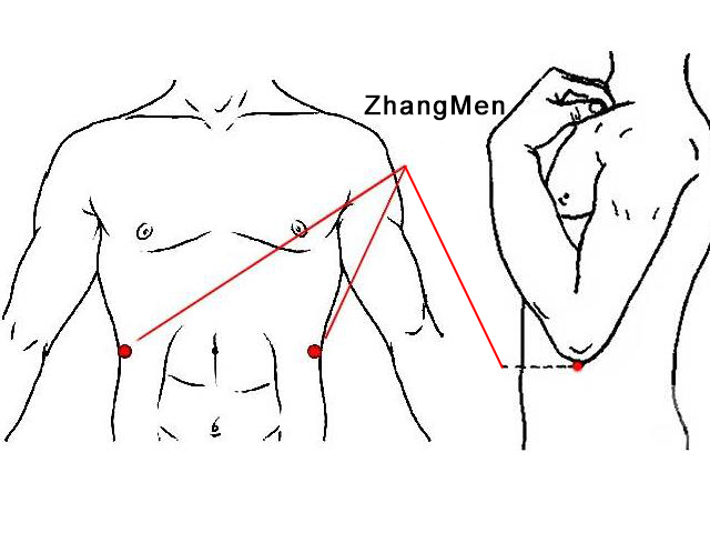 Zhangmen acupoint