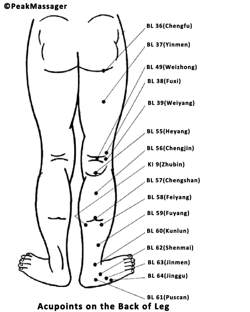 acupressure points in leg